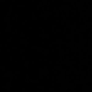 Meet your Posher, Carla